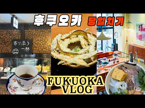 福岡旅行vlog12時間🇯🇵グルメと雑貨10軒✈️🍜｜ごぼう天うどん🍜｜喫茶店で雨宿り☕️｜ビンテージ家具🛋｜ごまだれ海鮮丼🍣｜PENCO ✏️📕｜薬院通り駅巡り🚶