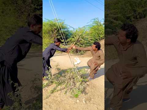 Kabootar ko bacha liya khayal rakha karo bujbaan ka 🕊️😭😍❤️🥰 #shortvideo #@abdulpigeons110