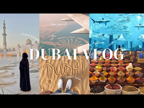 Abu Dhabi Vlog | Grand Mosque 🕌 | Ferrari World 🏎️ | Yas Island | Dubai Luxury Holiday