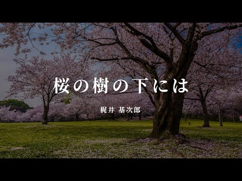 桜の樹の下には - 梶井 基次郎【朗読/オーディオブック】字幕付き