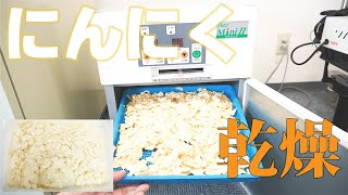 【乾燥スライスにんにく】にんにくを乾燥（プチミニⅡ）