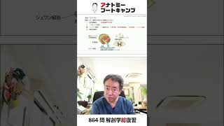 【 #国試1分道場 ・人体の構成】髄鞘を形成する細胞はどれか。　１．星状膠細胞　２．プルキンエ細胞　３．シュワン細胞　４．線維芽細胞 #かずひろ先生 #解剖学