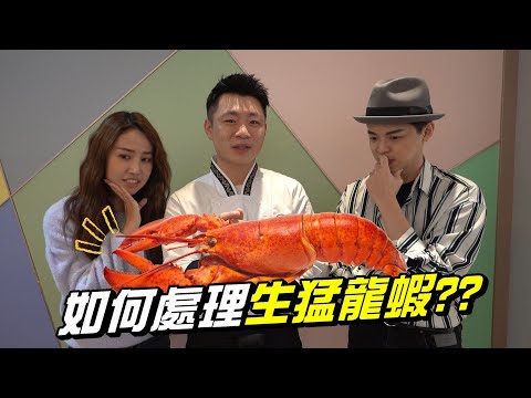 (抽獎)如何處理活龍蝦？競爭國宴御廚接班人《鄉民萬歲》EP.02