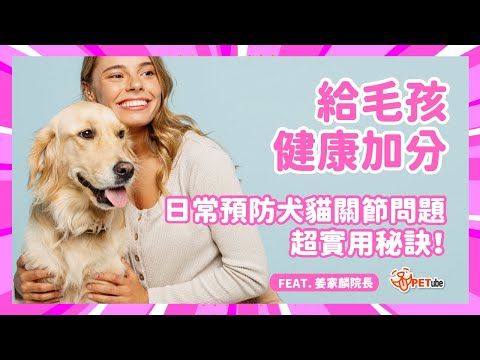 給毛孩健康加分！日常預防犬貓關節問題超實用秘訣！Feat.姜家麟院長【哈寵小學堂】｜#哈寵PETube 第288集