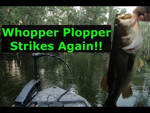 Whopper popper fishing. Gator tail GTR40XD