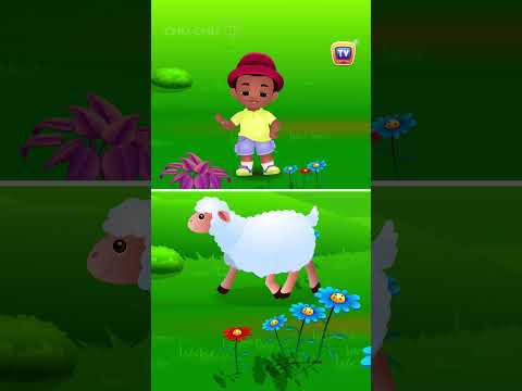 Baa Baa Black Sheep Song - The Joy of Sharing! #ChuChuTV #NurseryRhymes #Shorts #KidsSongs