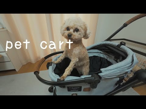 【ペットカート】愛犬へカートを購入しました | FikaGO フィカゴー