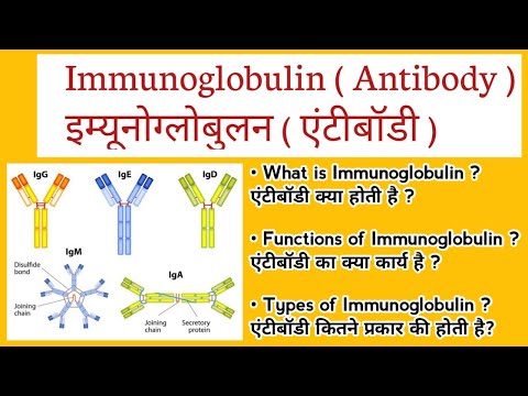 Immunoglobulin ( Antibody) IgG, IgM, IgE, IgD, IgA in Hindi ( एंटीबॉडी और इसके प्रकार)