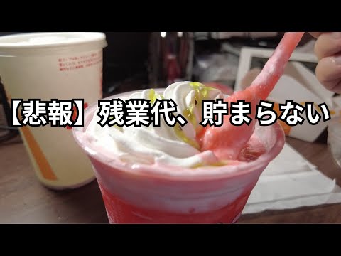 【24卒】夏休みゼロ！？残業アリのブラック新卒社会人に一日密着【vlog】