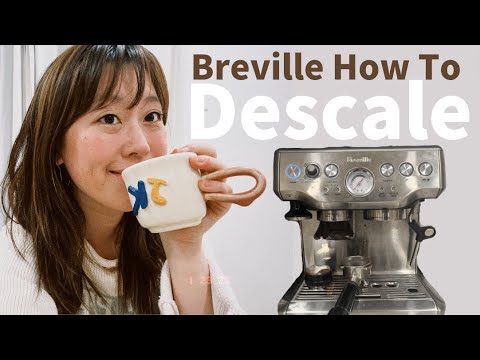 How to Descale Breville Espresso Machine | Step by Step Beginner's Guide to Barista Express 870/878