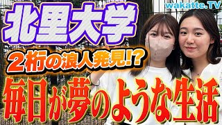 【満足度高め】医薬学部だけじゃない！北里大学キャンパス調査！獣医・看護学部のリアルな声も！【wakatte TV】#918