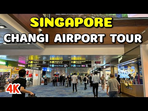 Why Singapore Changi is the World’s Best Airport: Full Terminal Tour & Transit Area Exploration