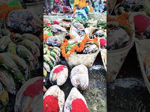 chhath puja song | chhath puja status #chhath #song #shorts #shortsfeed #ujjain