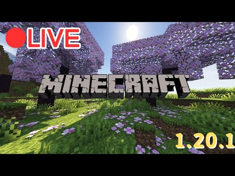 【Minecraft 1.20.1】美化家園~  Java【阿甫直播】 #0710