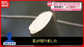 【公園の藤の花】「私が切りました」…高齢の男性が名乗り出る