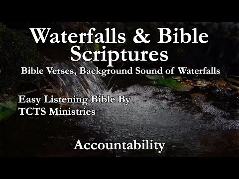 EASY LISTENING BIBLE - by TKING N MINISTRIES - Accountability (TKING)