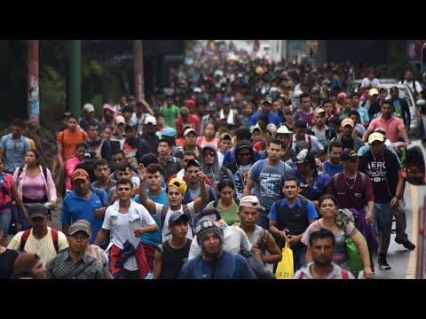 Fake News Reports: The Migrant Caravan