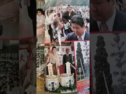 「相撲」昭和56年九州場所展望号