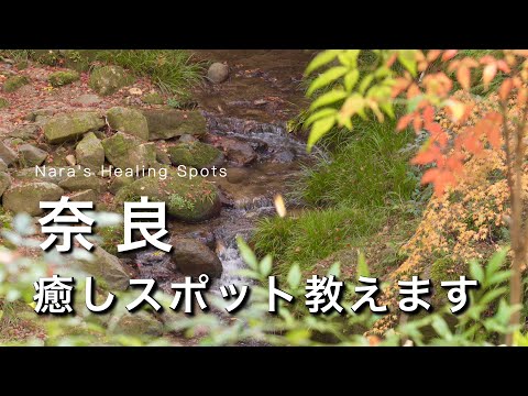 Nara vlog] I'll tell you about some recommended spots that can be reached by car from Nara City.