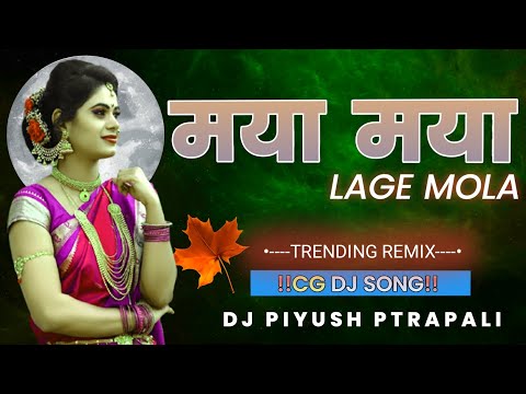 MAYA MAYA LAGE MOLA, CG DJ REMIX VIBRATION SONG 2024