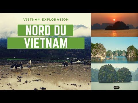 Voyage Vietnam | Séjour dans le Nord : Ninh Binh & Lan Ha