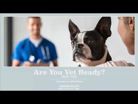 Are You Vet Ready Webinar: Part Two presented by Julie Anne Lee DCH