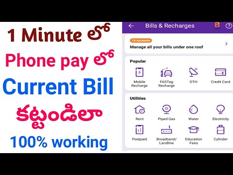 how to pay electricity bill in phonepe 2024 || how to pay electricity bill online in phonepe 2024