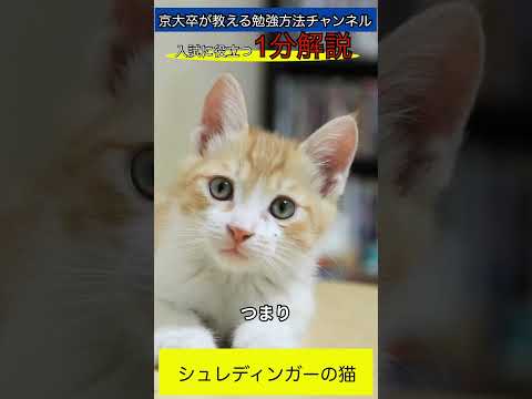 【シュレーディンガーの猫】1分解説