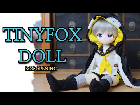 Tinyfox doll MJD Box Opening