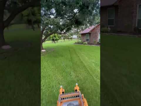 Wright stander B 32” mowing at Augustine grass #fyp #explore #satisfyinglawncare #mower