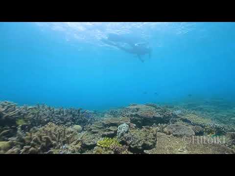 国頭村で荒波に揉まれながらサンゴ礁でシュノーケリング（2019年4月27日・沖縄）