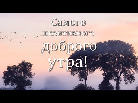 Самого позитивного доброго утра!