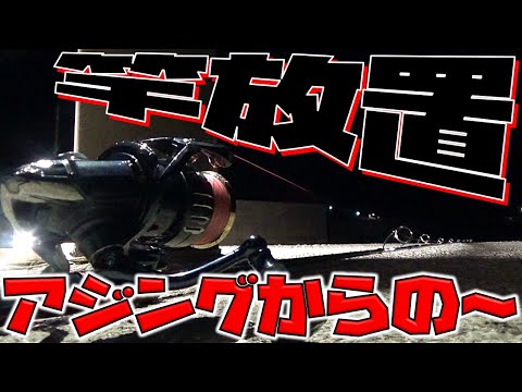 冬の海で釣れたアジを餌に！大物狙い！？どうなることやらwww