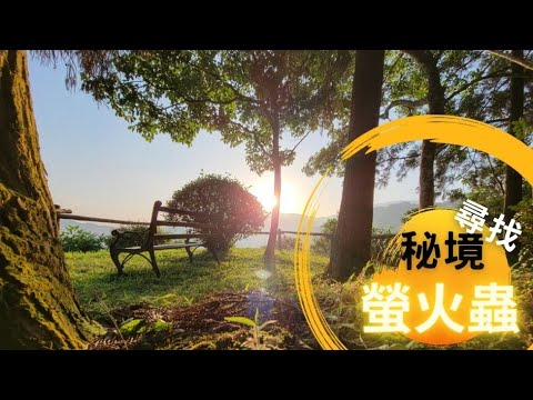 【隱藏五指山中秘境 PART 1】野外生態教學|刺激感官🏕－ 尋找螢火蟲足跡🔍 [4K]