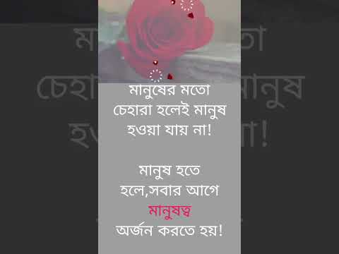 @niln24 #shorts #viralvideo #inspirational_status #trending #quotes #bangla