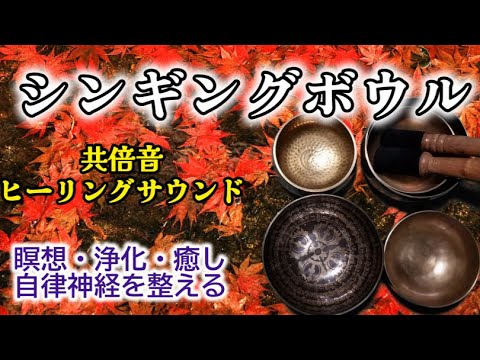 【シンギングボウル  演奏1時間】 共倍音ヒーリングサウンド～瞑想   浄化   癒し   自律神経を整える