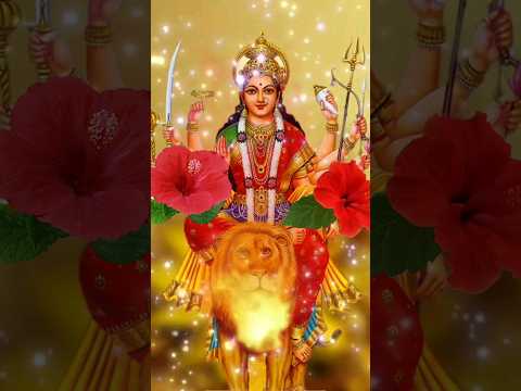 navratri special aarti #bhakti #shorts #shortsvideo #status