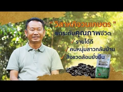 Forest Coffee : กาแฟป่า ชุมชนพัฒนาด้วยกาแฟ