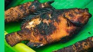 Mekong Charred Freshwater Fish! | The Ultimate MEKONG DELTA Tour (Day 2)