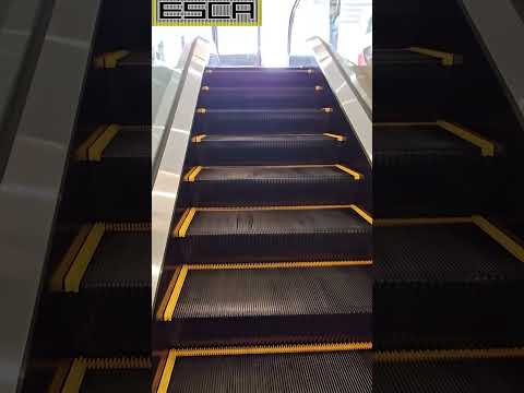 [New!] Cross Mukogaoka Escalator 3F-R #escalator #shorts