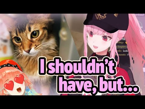 Calli Reveals her New Cat, Tutu! ...and Plans for More...?