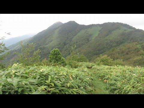 櫃ケ山登山