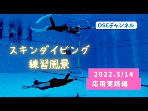 サーフェスダイブ(ジャックナイフ)・フィンワークの練習をしてドルフィンスイムに行こう！横浜国際プールのダイビングプール（水深5メートル）※フィートファーストチャレンジあり