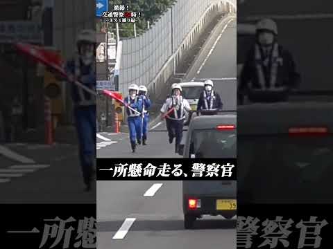 動きがカワイすぎるふとっちょ警察官【ネズミ捕り】【速度取締り】