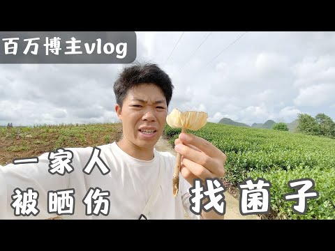 百万网红vlog｜游泳被晒伤，小孩大人通通背脱皮，老婆上山找菌子｜游泳｜晒伤｜vlog｜不打工｜自由｜生活