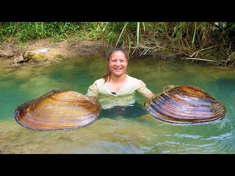 Extracting pearls from plump clams by hand is the most perfect, it's so beautiful