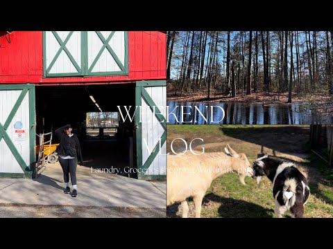 WEEKEND VLOG | LAUNDRY DAY, GROCERY SHOPPING, WALK IN THE PARK