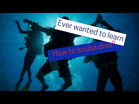 Learn to Dive with Divers Den in Cairns