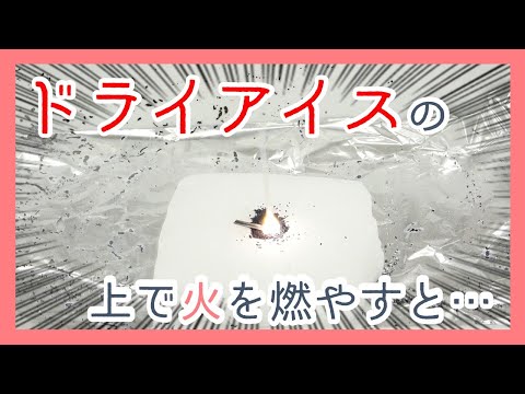 ［実験で学ぼう！］二酸化炭素の性質～ドライアイスの上で火を点けるとどうなる？～