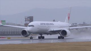 追い風の  ロケットスタート A350-900【 雨の伊丹空港 】